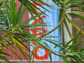 123 les saintes .jpg