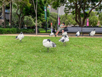 111-Australia.jpg