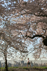 059 Central Park.jpg