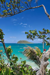 034 room with a view.jpg